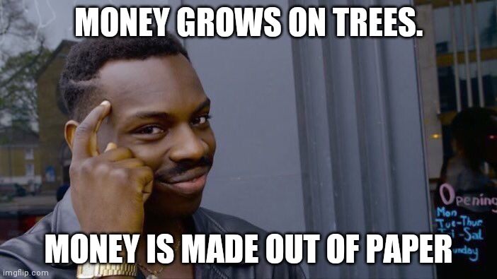 Money | MONEY GROWS ON TREES. MONEY IS MADE OUT OF PAPER | image tagged in memes,roll safe think about it | made w/ Imgflip meme maker