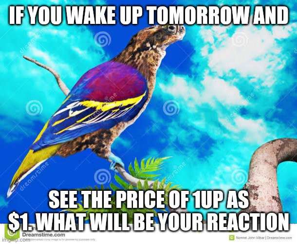 1up | IF YOU WAKE UP TOMORROW AND; SEE THE PRICE OF 1UP AS $1. WHAT WILL BE YOUR REACTION | image tagged in funny | made w/ Imgflip meme maker