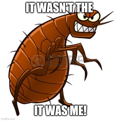 flea | IT WASN'T THE IT WAS ME! | image tagged in flea | made w/ Imgflip meme maker
