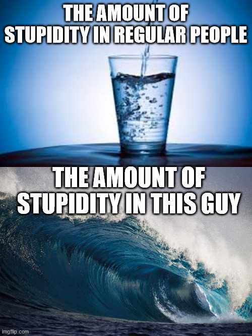 THE AMOUNT OF STUPIDITY IN REGULAR PEOPLE THE AMOUNT OF STUPIDITY IN THIS GUY | made w/ Imgflip meme maker