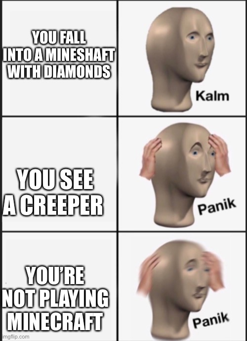 Kalm panik PANIK | YOU FALL INTO A MINESHAFT WITH DIAMONDS; YOU SEE A CREEPER; YOU’RE NOT PLAYING MINECRAFT | image tagged in kalm panik panik | made w/ Imgflip meme maker