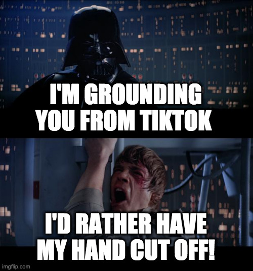 Addiction | I'M GROUNDING YOU FROM TIKTOK; I'D RATHER HAVE MY HAND CUT OFF! | image tagged in memes,star wars no,tiktok,games,starwars,darth vader | made w/ Imgflip meme maker
