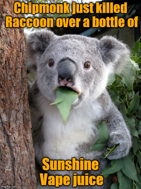 Surprised Koala Meme | Chipmonk just killed Raccoon over a bottle of Sunshine Vape juice | image tagged in memes,surprised coala | made w/ Imgflip meme maker