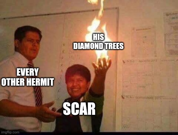 Diamonds, in the trees! | HIS DIAMOND TREES; EVERY OTHER HERMIT; SCAR | image tagged in kid holding fire,scar,goodtimeswithscar | made w/ Imgflip meme maker