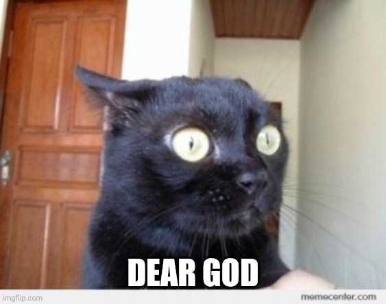 Scared Cat | DEAR GOD | image tagged in scared cat | made w/ Imgflip meme maker