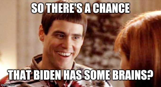Telling me theres a chance? | SO THERE'S A CHANCE THAT BIDEN HAS SOME BRAINS? | image tagged in telling me theres a chance | made w/ Imgflip meme maker