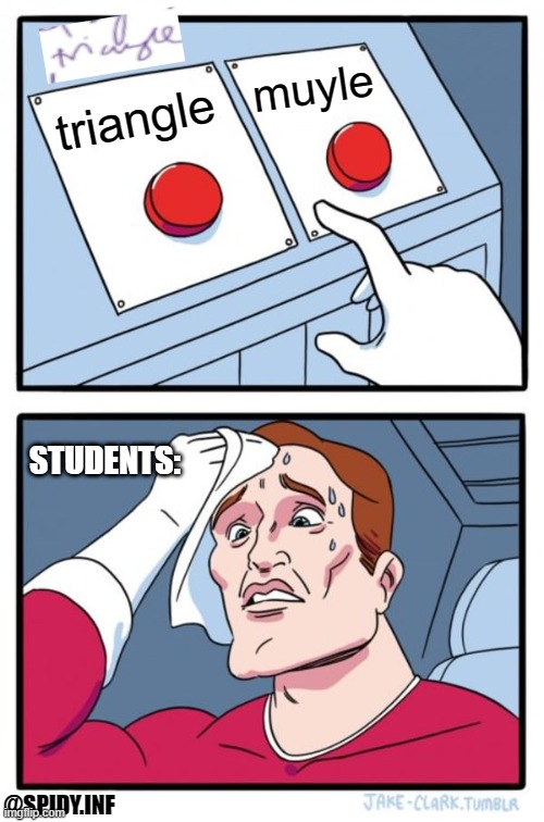 Two Buttons Meme | muyle; triangle; STUDENTS:; @SPIDY.INF | image tagged in memes,two buttons | made w/ Imgflip meme maker