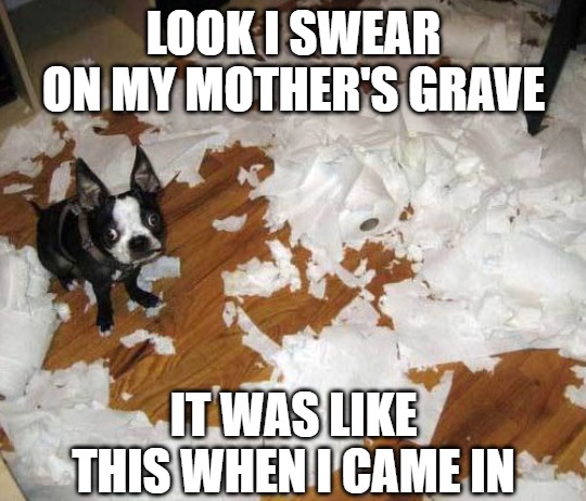 Dogs don't lie, do they? | LOOK I SWEAR ON MY MOTHER'S GRAVE; IT WAS LIKE THIS WHEN I CAME IN | image tagged in dogs,memes,fun,funny,2020 | made w/ Imgflip meme maker