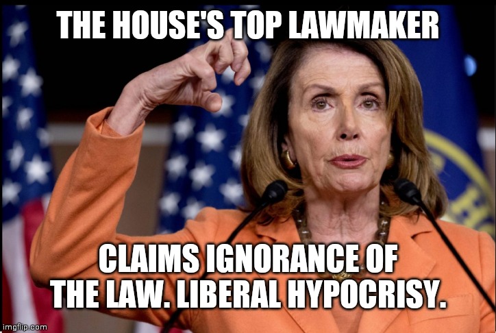 Pelosi | THE HOUSE'S TOP LAWMAKER; CLAIMS IGNORANCE OF THE LAW. LIBERAL HYPOCRISY. | image tagged in haircut | made w/ Imgflip meme maker