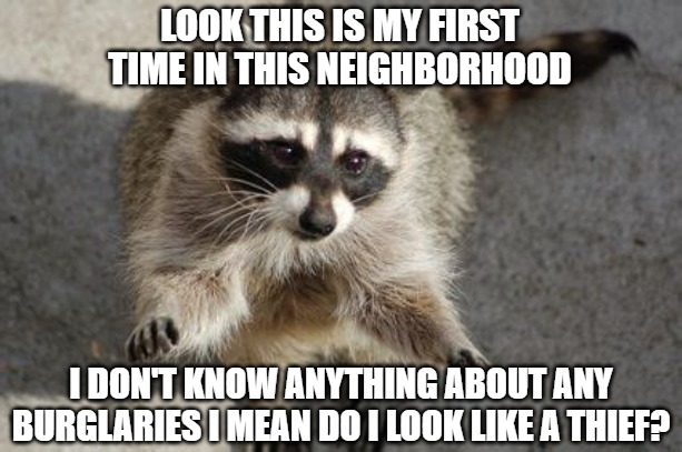 Can I call my lawyer first? | LOOK THIS IS MY FIRST
TIME IN THIS NEIGHBORHOOD; I DON'T KNOW ANYTHING ABOUT ANY BURGLARIES I MEAN DO I LOOK LIKE A THIEF? | image tagged in racoons,memes,fun,funny,2020 | made w/ Imgflip meme maker