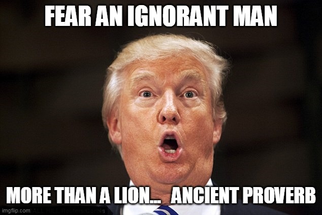 Trump Lion | FEAR AN IGNORANT MAN; MORE THAN A LION...   ANCIENT PROVERB | image tagged in trump | made w/ Imgflip meme maker