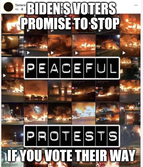 Biden's Voters | BIDEN'S VOTERS PROMISE TO STOP; IF YOU VOTE THEIR WAY | image tagged in joe biden,riots,black lives matter,vote,democrats,socialism | made w/ Imgflip meme maker