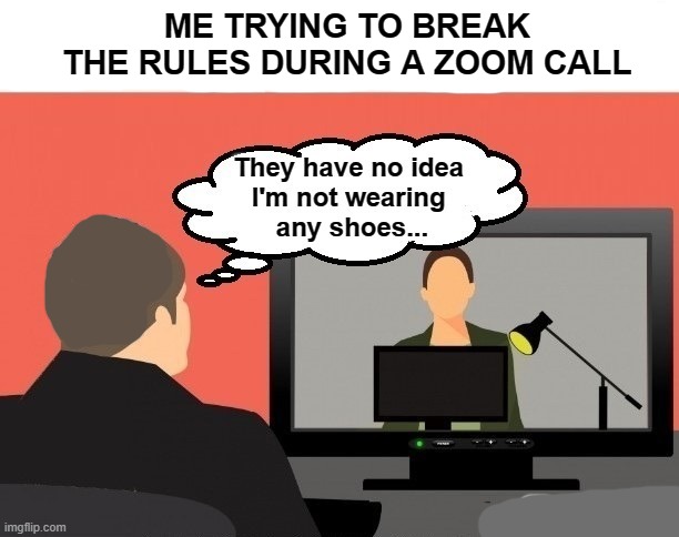 ME TRYING TO BREAK THE RULES DURING A ZOOM CALL | image tagged in zoom | made w/ Imgflip meme maker