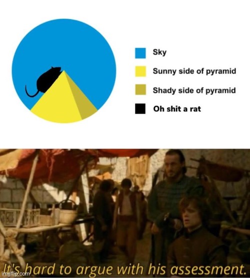 OH SHIT A RAT | image tagged in memes,rats,pie charts,pyramid | made w/ Imgflip meme maker
