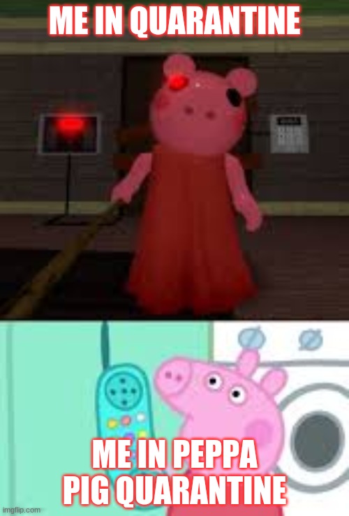 The omg | ME IN QUARANTINE; ME IN PEPPA PIG QUARANTINE | image tagged in wednesday,cool,funny memes | made w/ Imgflip meme maker