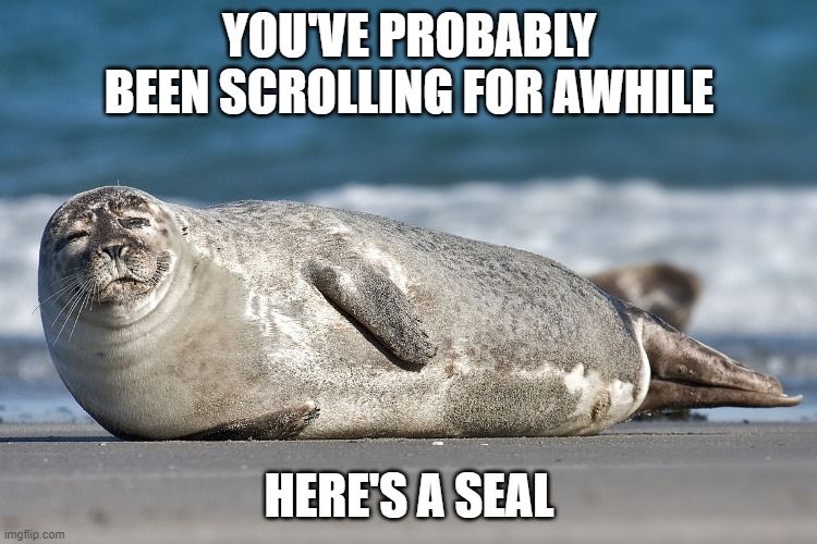 seals | YOU'VE PROBABLY BEEN SCROLLING FOR AWHILE; HERE'S A SEAL | image tagged in seal | made w/ Imgflip meme maker