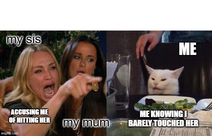 Woman Yelling At Cat Meme | my sis; ME; ME KNOWING I BARELY TOUCHED HER; ACCUSING ME OF HITTING HER; my mum | image tagged in memes,woman yelling at cat | made w/ Imgflip meme maker