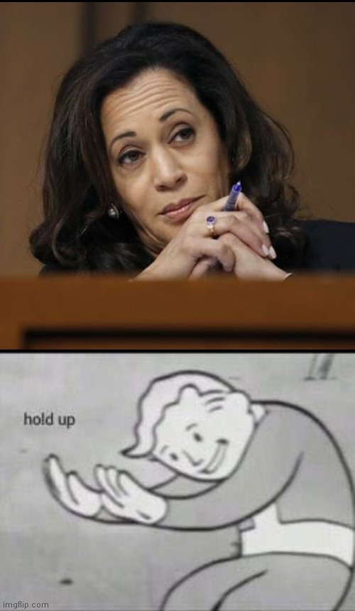 image tagged in kamala harris,fallout hold up | made w/ Imgflip meme maker