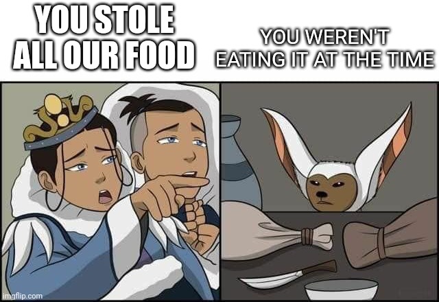 MOMO IS ALWAYS HUNGRY | YOU WEREN'T EATING IT AT THE TIME; YOU STOLE ALL OUR FOOD | image tagged in momo,avatar the last airbender,woman yelling at cat | made w/ Imgflip meme maker