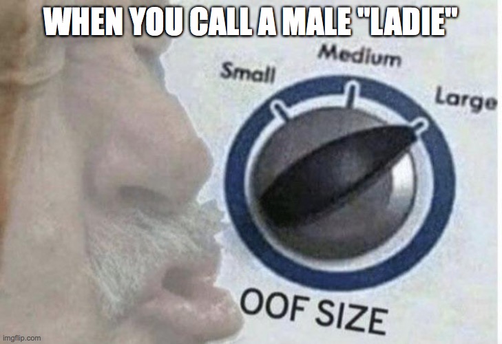 Oof size large | WHEN YOU CALL A MALE "LADIE" | image tagged in oof size large | made w/ Imgflip meme maker