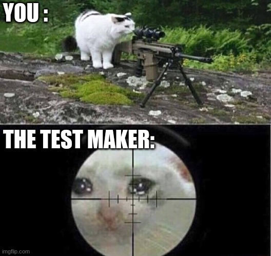Sniper cat | YOU : THE TEST MAKER: | image tagged in sniper cat | made w/ Imgflip meme maker