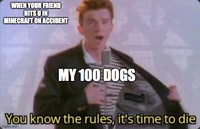 You know the rules, it's time to die | WHEN YOUR FRIEND HITS U IN MINECRAFT ON ACCIDENT; MY 100 DOGS | image tagged in you know the rules it's time to die | made w/ Imgflip meme maker
