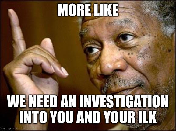 This Morgan Freeman | MORE LIKE WE NEED AN INVESTIGATION INTO YOU AND YOUR ILK | image tagged in this morgan freeman | made w/ Imgflip meme maker