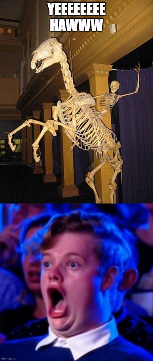 YEEEEEEEE HAWWW | image tagged in spooky horse and rider skeleton,omg | made w/ Imgflip meme maker