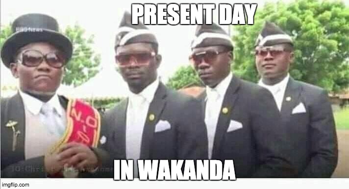 PRESENT DAY IN WAKANDA | image tagged in coffin dance | made w/ Imgflip meme maker