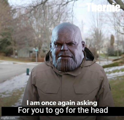 Thernie | Thernie; For you to go for the head | image tagged in bernie i am once again asking for your support,thanos,avengers,funny memes | made w/ Imgflip meme maker
