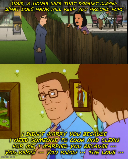 Hank Hill, the love | HMM, A HOUSE WIFE THAT DOESN'T CLEAN. WHAT DOES HANK HILL KEEP YOU AROUND FOR? I DIDN'T MARRY YOU BECAUSE I NEED SOMEONE TO COOK AND CLEAN FOR ME, I MARRIED YOU BECAUSE ... YOU KNOW ... YOU KNOW ... THE LOVE ... | image tagged in king of the hill | made w/ Imgflip meme maker