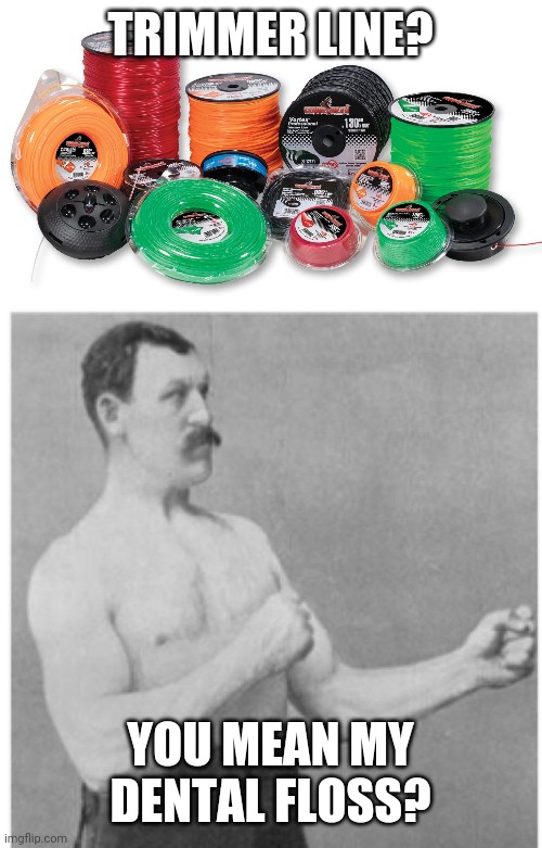 Gums bleeding? That means it's working! | TRIMMER LINE? YOU MEAN MY DENTAL FLOSS? | image tagged in memes,overly manly man,lawnmower,lines,dental,floss | made w/ Imgflip meme maker