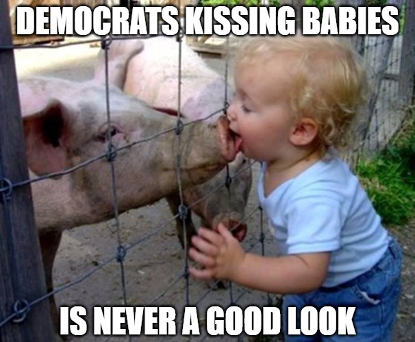 Babies being kissed | DEMOCRATS KISSING BABIES; IS NEVER A GOOD LOOK | image tagged in democrat,memes,fun,funny,pigs,children | made w/ Imgflip meme maker