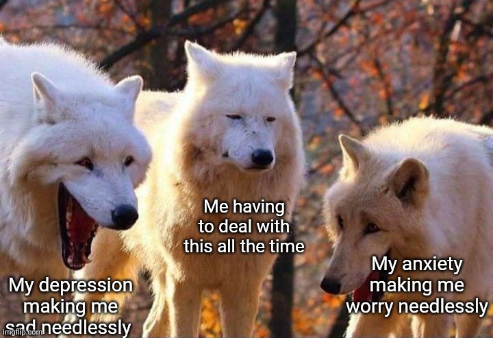 Laughing wolf | Me having to deal with this all the time; My anxiety making me worry needlessly; My depression making me sad needlessly | image tagged in laughing wolf | made w/ Imgflip meme maker