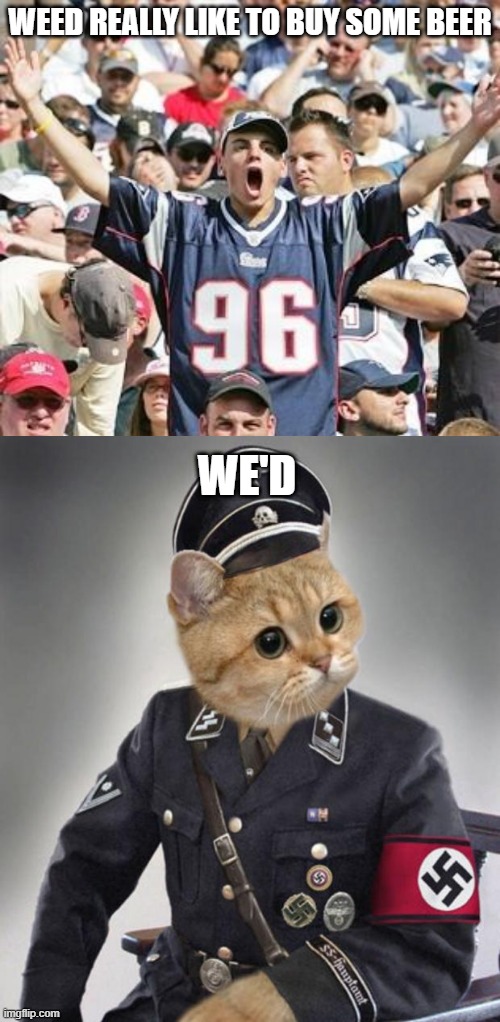 WEED REALLY LIKE TO BUY SOME BEER; WE'D | image tagged in sports fans,nazi cat in uniform,bad grammar and spelling memes,grammar nazi cat,grammar nazi,nazis | made w/ Imgflip meme maker