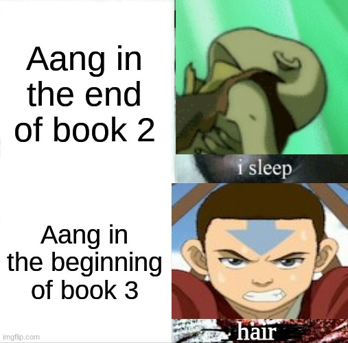 Don't tell me you aren't thinking it. [SPOILERS] | Aang in the end of book 2; Aang in the beginning of book 3; hair | image tagged in memes,sleeping shaq | made w/ Imgflip meme maker