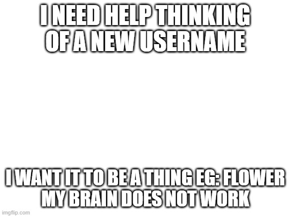 Help me | I NEED HELP THINKING OF A NEW USERNAME; I WANT IT TO BE A THING EG: FLOWER

MY BRAIN DOES NOT WORK | image tagged in blank white template | made w/ Imgflip meme maker