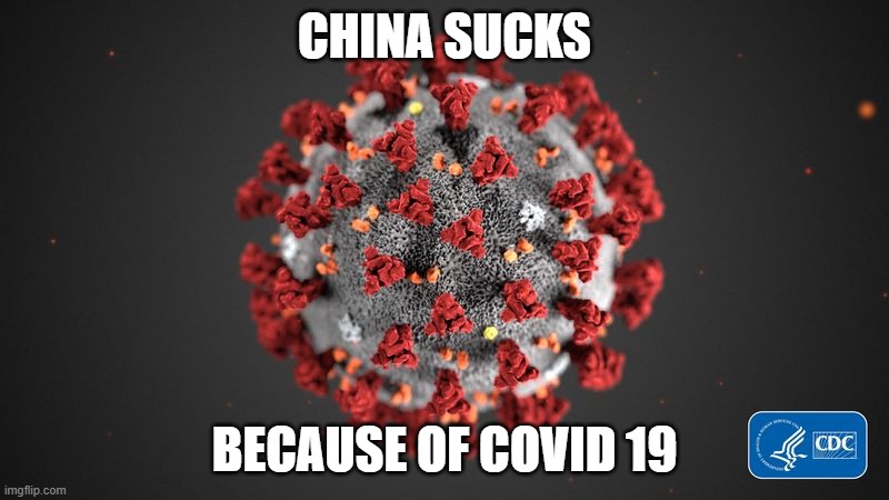 Covid 19 | CHINA SUCKS; BECAUSE OF COVID 19 | image tagged in covid 19 | made w/ Imgflip meme maker