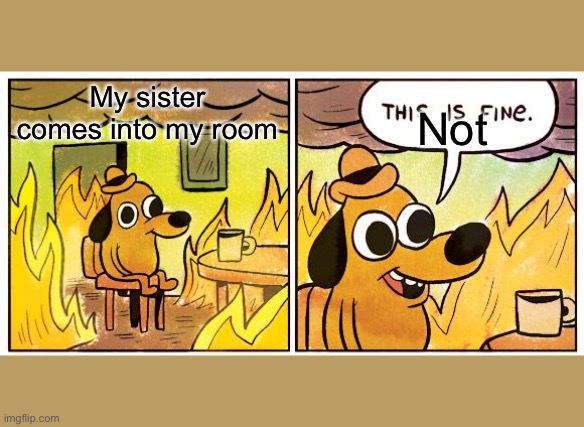 This Is Fine Meme | My sister comes into my room; Not | image tagged in memes,this is fine | made w/ Imgflip meme maker