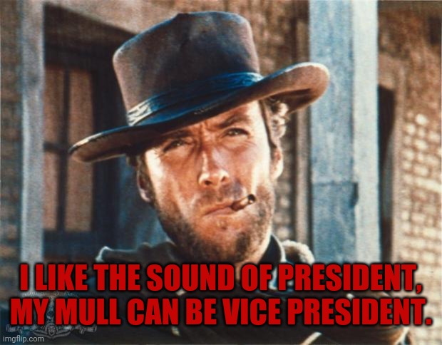 Clint Eastwood | I LIKE THE SOUND OF PRESIDENT, MY MULL CAN BE VICE PRESIDENT. | image tagged in clint eastwood | made w/ Imgflip meme maker