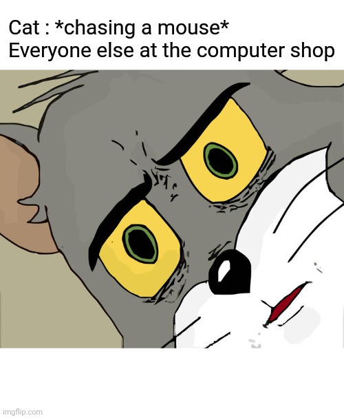 Hold up | Cat : *chasing a mouse*
Everyone else at the computer shop | image tagged in memes,unsettled tom | made w/ Imgflip meme maker