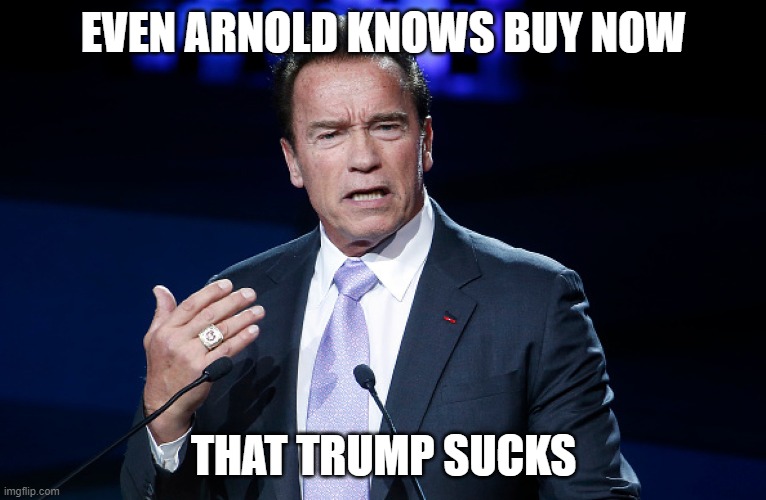 Governor arnold | EVEN ARNOLD KNOWS BUY NOW; THAT TRUMP SUCKS | image tagged in governor arnold | made w/ Imgflip meme maker