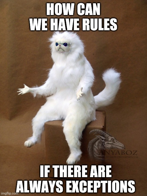 Persian Cat Room Guardian Single |  HOW CAN WE HAVE RULES; IF THERE ARE ALWAYS EXCEPTIONS | image tagged in memes,persian cat room guardian single | made w/ Imgflip meme maker