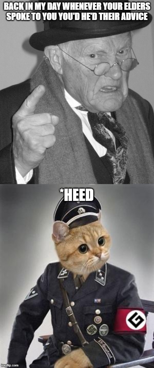 BACK IN MY DAY WHENEVER YOUR ELDERS SPOKE TO YOU YOU'D HE'D THEIR ADVICE; *HEED | image tagged in grammar nazi cat,back in my day,nazis,grammar nazi,bad grammar and spelling memes,grammar | made w/ Imgflip meme maker