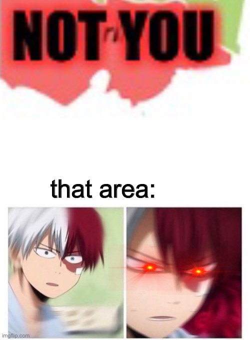 that area: | image tagged in todoroki | made w/ Imgflip meme maker