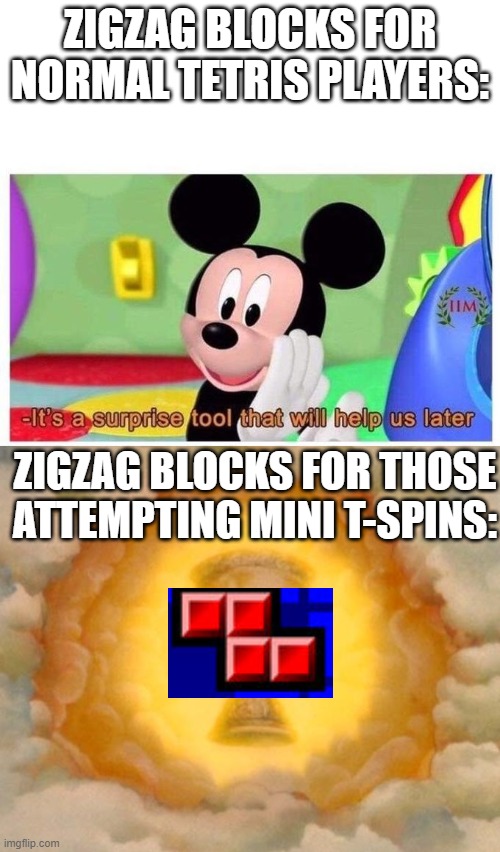 ZIGZAG BLOCKS FOR NORMAL TETRIS PLAYERS:; ZIGZAG BLOCKS FOR THOSE ATTEMPTING MINI T-SPINS: | image tagged in holy grail,it's a surprise tool that will help us later | made w/ Imgflip meme maker
