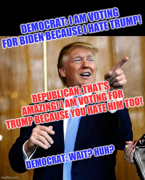 Anyone who is hated by millions of Democrats and RINO Republicans deserves our vote this November! | DEMOCRAT: I AM VOTING FOR BIDEN BECAUSE I HATE TRUMP! REPUBLICAN: THAT'S AMAZING! I AM VOTING FOR TRUMP BECAUSE YOU HATE HIM TOO! DEMOCRAT: WAIT? HUH? | image tagged in donald trump,liberals | made w/ Imgflip meme maker