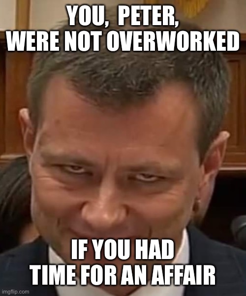 You were overworked? That is a laugh!You had time for an affair. | YOU,  PETER, WERE NOT OVERWORKED; IF YOU HAD TIME FOR AN AFFAIR | image tagged in peter strozk,overworked,affair,fisa-gate | made w/ Imgflip meme maker