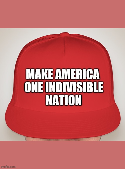 Trump Hat | MAKE AMERICA 
ONE INDIVISIBLE
NATION | image tagged in trump hat | made w/ Imgflip meme maker
