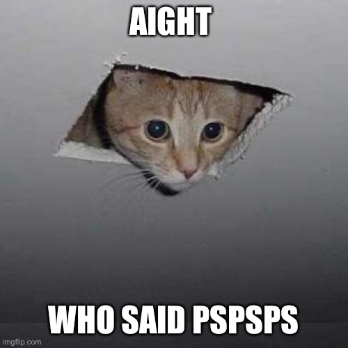 Ceiling Cat | AIGHT; WHO SAID PSPSPS | image tagged in memes,ceiling cat | made w/ Imgflip meme maker